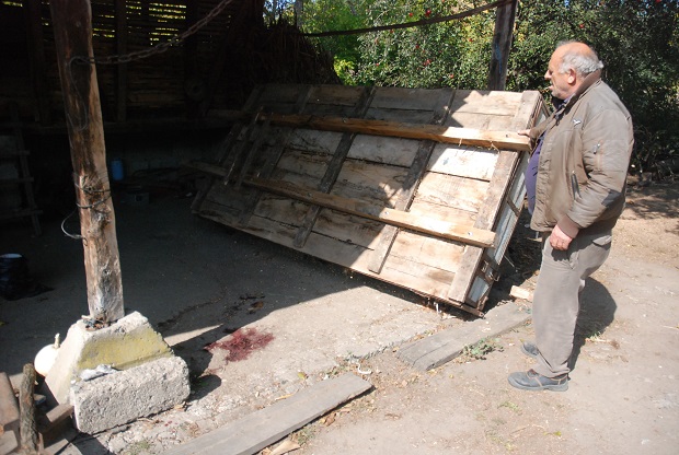 Приколица од 300 килограма убила дечака